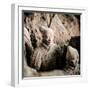 China 10MKm2 Collection - Army of Terracotta Warriors - Shaanxi Province-Philippe Hugonnard-Framed Photographic Print