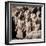 China 10MKm2 Collection - Army of Terracotta Warriors - Shaanxi Province-Philippe Hugonnard-Framed Premium Photographic Print