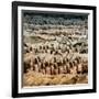 China 10MKm2 Collection - Army of Terracotta Warriors - Shaanxi Province-Philippe Hugonnard-Framed Photographic Print