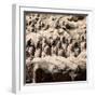 China 10MKm2 Collection - Army of Terracotta Warriors - Shaanxi Province-Philippe Hugonnard-Framed Photographic Print