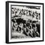 China 10MKm2 Collection - Army of Terracotta Warriors - Shaanxi Province-Philippe Hugonnard-Framed Photographic Print