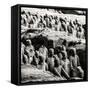 China 10MKm2 Collection - Army of Terracotta Warriors - Shaanxi Province-Philippe Hugonnard-Framed Stretched Canvas