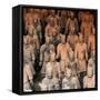 China 10MKm2 Collection - Army of Terracotta Warriors - Shaanxi Province-Philippe Hugonnard-Framed Stretched Canvas