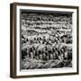 China 10MKm2 Collection - Army of Terracotta Warriors - Shaanxi Province-Philippe Hugonnard-Framed Photographic Print