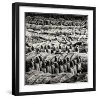 China 10MKm2 Collection - Army of Terracotta Warriors - Shaanxi Province-Philippe Hugonnard-Framed Photographic Print