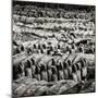 China 10MKm2 Collection - Army of Terracotta Warriors - Shaanxi Province-Philippe Hugonnard-Mounted Photographic Print