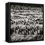 China 10MKm2 Collection - Army of Terracotta Warriors - Shaanxi Province-Philippe Hugonnard-Framed Stretched Canvas