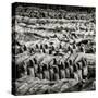 China 10MKm2 Collection - Army of Terracotta Warriors - Shaanxi Province-Philippe Hugonnard-Stretched Canvas