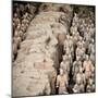 China 10MKm2 Collection - Army of Terracotta Warriors - Shaanxi Province-Philippe Hugonnard-Mounted Photographic Print