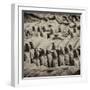 China 10MKm2 Collection - Army of Terracotta Warriors - Shaanxi Province-Philippe Hugonnard-Framed Photographic Print