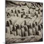 China 10MKm2 Collection - Army of Terracotta Warriors - Shaanxi Province-Philippe Hugonnard-Mounted Photographic Print