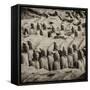 China 10MKm2 Collection - Army of Terracotta Warriors - Shaanxi Province-Philippe Hugonnard-Framed Stretched Canvas