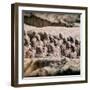 China 10MKm2 Collection - Army of Terracotta Warriors - Shaanxi Province-Philippe Hugonnard-Framed Photographic Print