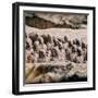 China 10MKm2 Collection - Army of Terracotta Warriors - Shaanxi Province-Philippe Hugonnard-Framed Photographic Print