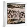 China 10MKm2 Collection - Army of Terracotta Warriors - Shaanxi Province-Philippe Hugonnard-Framed Photographic Print