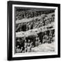 China 10MKm2 Collection - Army of Terracotta Warriors - Shaanxi Province-Philippe Hugonnard-Framed Photographic Print