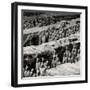 China 10MKm2 Collection - Army of Terracotta Warriors - Shaanxi Province-Philippe Hugonnard-Framed Photographic Print