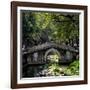 China 10MKm2 Collection - Asian Bridge-Philippe Hugonnard-Framed Photographic Print