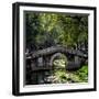 China 10MKm2 Collection - Asian Bridge-Philippe Hugonnard-Framed Photographic Print