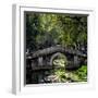 China 10MKm2 Collection - Asian Bridge-Philippe Hugonnard-Framed Photographic Print