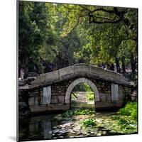 China 10MKm2 Collection - Asian Bridge-Philippe Hugonnard-Mounted Photographic Print