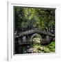 China 10MKm2 Collection - Asian Bridge-Philippe Hugonnard-Framed Photographic Print