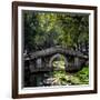 China 10MKm2 Collection - Asian Bridge-Philippe Hugonnard-Framed Photographic Print