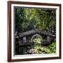 China 10MKm2 Collection - Asian Bridge-Philippe Hugonnard-Framed Photographic Print