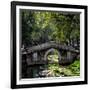 China 10MKm2 Collection - Asian Bridge-Philippe Hugonnard-Framed Photographic Print