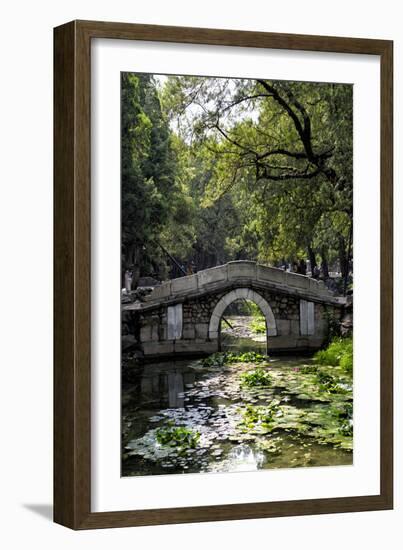 China 10MKm2 Collection - Asian Bridge-Philippe Hugonnard-Framed Photographic Print