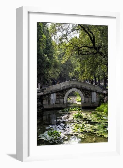 China 10MKm2 Collection - Asian Bridge-Philippe Hugonnard-Framed Photographic Print