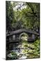 China 10MKm2 Collection - Asian Bridge-Philippe Hugonnard-Mounted Photographic Print