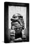 China 10MKm2 Collection - Asian Sculpture of a Stone Lion-Philippe Hugonnard-Stretched Canvas