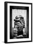 China 10MKm2 Collection - Asian Sculpture of a Stone Lion-Philippe Hugonnard-Framed Photographic Print