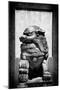 China 10MKm2 Collection - Asian Sculpture of a Stone Lion-Philippe Hugonnard-Mounted Photographic Print