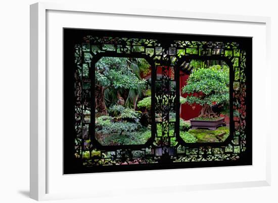 China 10MKm2 Collection - Asian Window - Bonsai Trees-Philippe Hugonnard-Framed Photographic Print