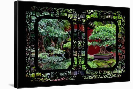 China 10MKm2 Collection - Asian Window - Bonsai Trees-Philippe Hugonnard-Framed Stretched Canvas