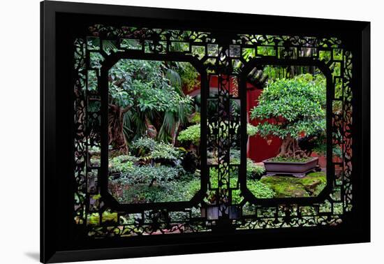 China 10MKm2 Collection - Asian Window - Bonsai Trees-Philippe Hugonnard-Framed Photographic Print