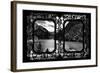 China 10MKm2 Collection - Asian Window - Great View of Lake in the Jiuzhaigou National Park-Philippe Hugonnard-Framed Photographic Print