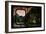 China 10MKm2 Collection - Asian Window - Guilin at night-Philippe Hugonnard-Framed Photographic Print