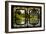 China 10MKm2 Collection - Asian Window - Karst Moutains in Yangshuo-Philippe Hugonnard-Framed Photographic Print