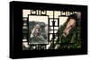 China 10MKm2 Collection - Asian Window - Mount Huashan - Shaanxi-Philippe Hugonnard-Stretched Canvas