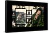 China 10MKm2 Collection - Asian Window - Mount Huashan - Shaanxi-Philippe Hugonnard-Framed Stretched Canvas