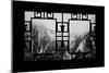 China 10MKm2 Collection - Asian Window - Mount Huashan - Shaanxi-Philippe Hugonnard-Mounted Premium Photographic Print