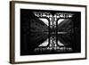 China 10MKm2 Collection - Asian Window - Rhinoceros Lake - Jiuzhaigou National Park-Philippe Hugonnard-Framed Photographic Print