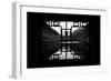 China 10MKm2 Collection - Asian Window - Rhinoceros Lake - Jiuzhaigou National Park-Philippe Hugonnard-Framed Premium Photographic Print