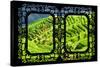 China 10MKm2 Collection - Asian Window - Rice Terraces - Longsheng Ping'an - Guangxi-Philippe Hugonnard-Stretched Canvas