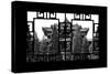 China 10MKm2 Collection - Asian Window - Summer Palace Architecture-Philippe Hugonnard-Stretched Canvas