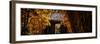 China 10MKm2 Collection - Bamboo Forest-Philippe Hugonnard-Framed Photographic Print