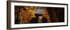 China 10MKm2 Collection - Bamboo Forest-Philippe Hugonnard-Framed Photographic Print